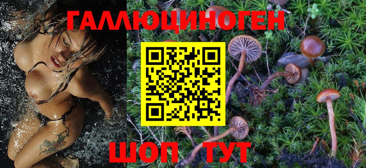 Псилоцибиновые грибы Magic Shrooms  Вход с VPN  Галлюциногенные грибы прущие грибы  Пугачёв 